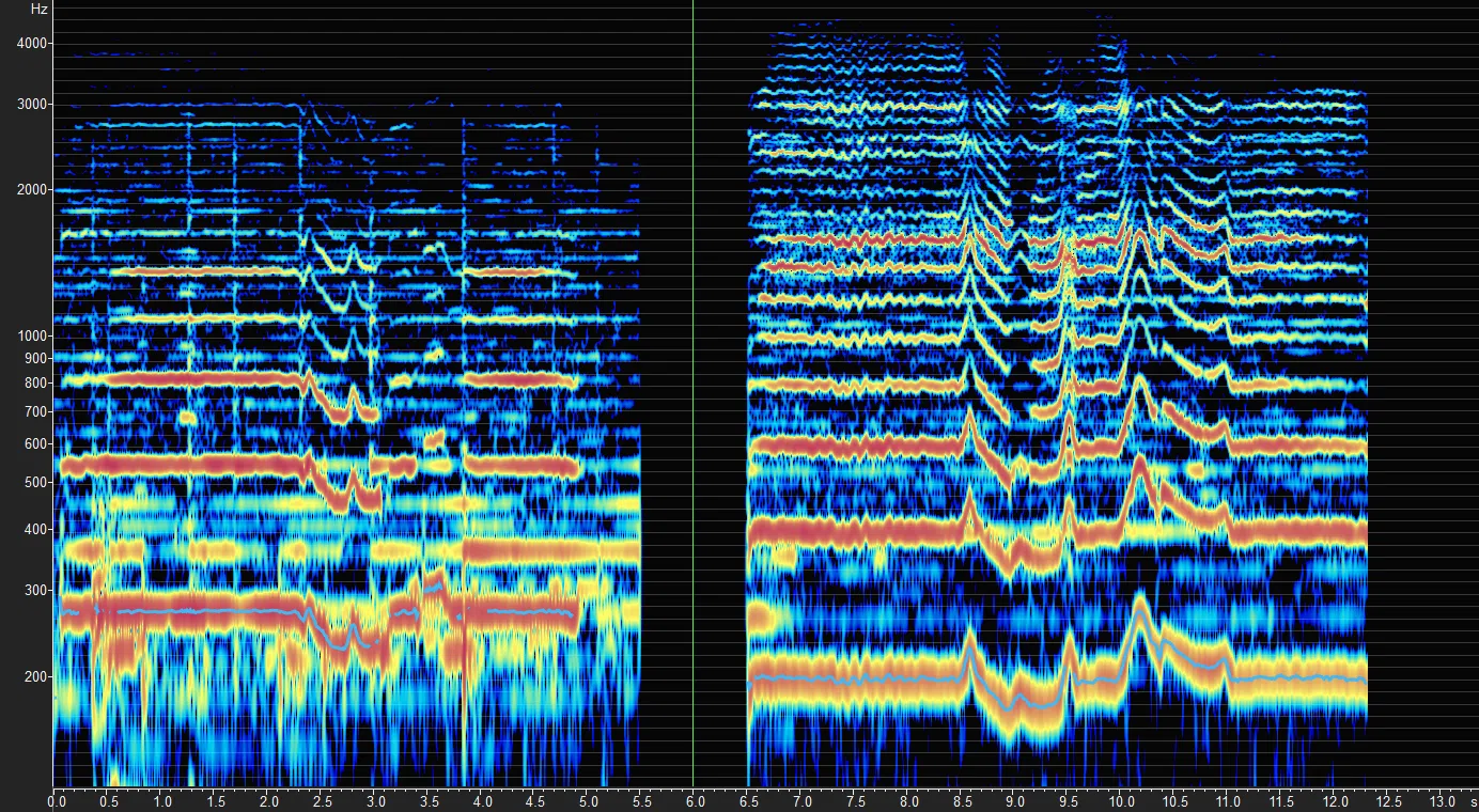 Vocal Expression and Vocal Acoustics in Hindustani Music